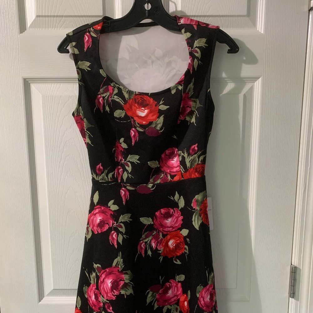 NWT Buffalo (David Bitton) juniors dress OS sample
